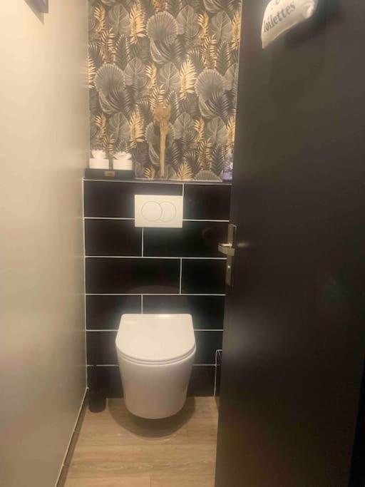 Villa 3 Chambres Parking Et Terrasse Plaisance-du-Touch Εξωτερικό φωτογραφία