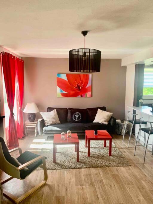 Villa 3 Chambres Parking Et Terrasse Plaisance-du-Touch Εξωτερικό φωτογραφία